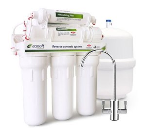 Ecosoft sistemi